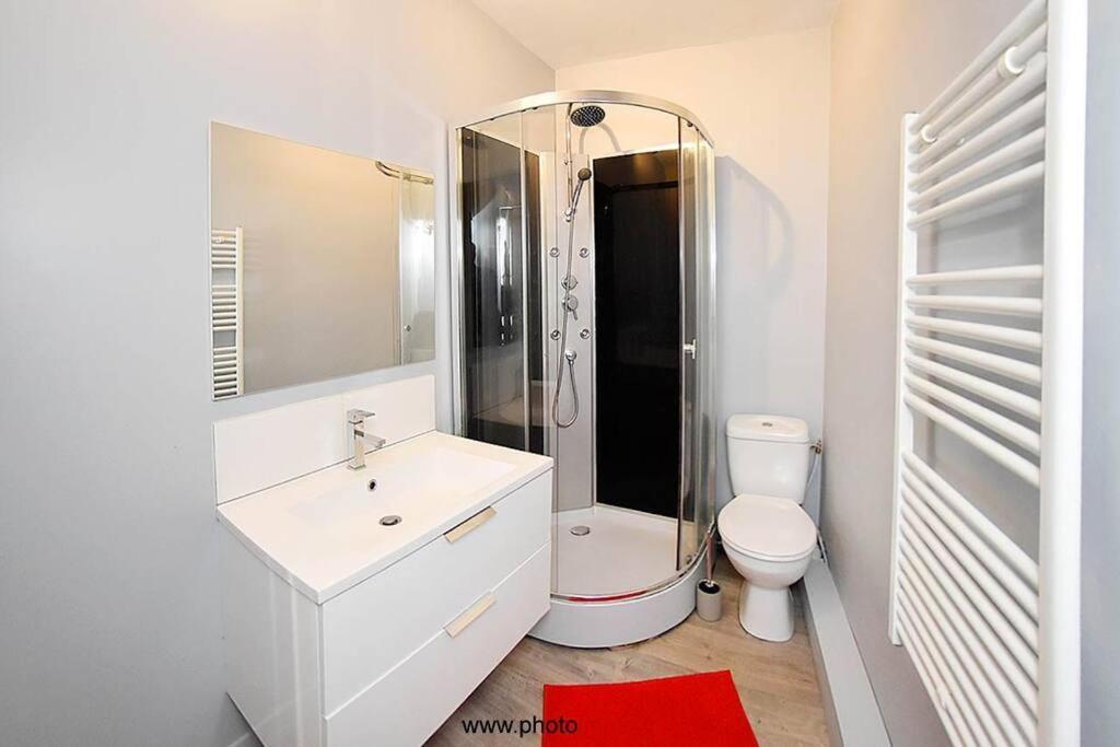 Beautiful Place De Jaude - Hyper Center Clermont-Ferrand